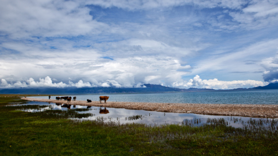 ����ľ֮��-��������