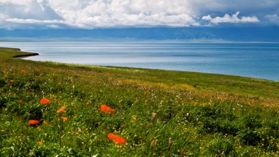 ����ľ֮��-��������