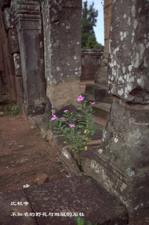 ��ʧ�ڸ��޵�΢Ц�У���������������-��Ȼ�羰