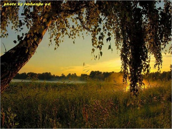 ��ϼ�ڳ����л�ӳ-��Ȼ�羰