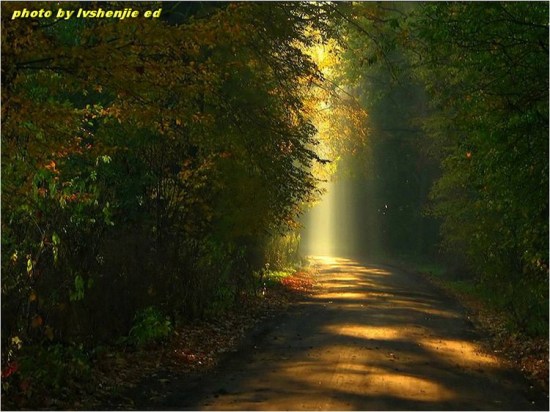 ��ϼ�ڳ����л�ӳ-��Ȼ�羰