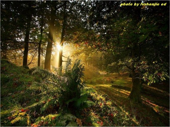 ��ϼ�ڳ����л�ӳ-��Ȼ�羰