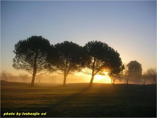 ��ϼ�ڳ����л�ӳ-��Ȼ�羰