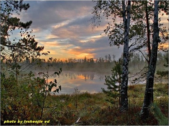 ��ϼ�ڳ����л�ӳ-��Ȼ�羰