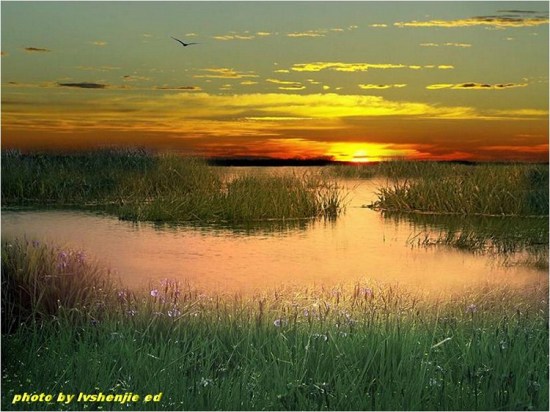 ��ϼ�ڳ����л�ӳ-��Ȼ�羰