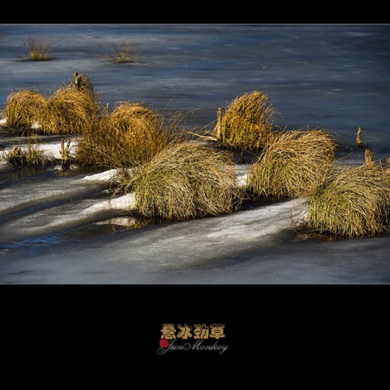 ��ɽ�С�����������-���ϵ���