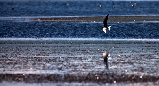 ������֮������<span class=lxw>[ע: ���ϲ��������ݴ�����ظ�ԭ�ͻ�����ԭ���ɵش��������������ߣ����ϲ��͡����ں���1100��4900�ף��󲿷ֵ�����3000�����ϡ�]</span>�غ�����1��-��Ȼ�羰