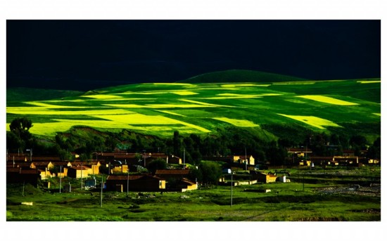 �����ຣ<span class=lxw>[ע: �ຣʡ-�ຣʡ����࣬�ų���������ˮ��������Ǽ������ʮ����ʱ��ʼ���ຣ������ƴ��²����ɹ���ƿ��ŵ��������Ϊ��ɫ�ĺ���]</span>֮��Դ<span class=lxw>[ע: ��Դ����������-��Դ����������λ���ݾ������������ͱ��������ʡ���ڡ������6896ƽ��ǧ�ס����˿�15���ˣ�2004�꣩��]</span>3-��������