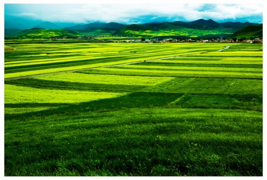 �����ຣ֮��Դ3-��������