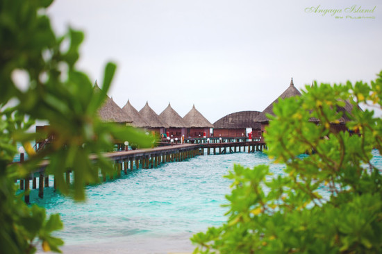 Angaga Island-��Ȼ�羰