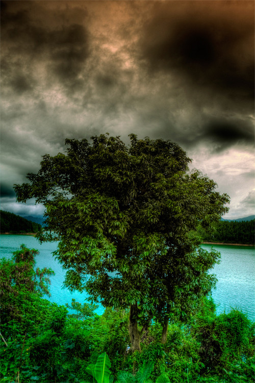 ̨ɽ���Ͽ�Ŷ�ɽ-��Ȼ�羰