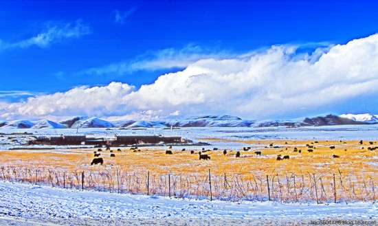 ѩ������-���ϵ���