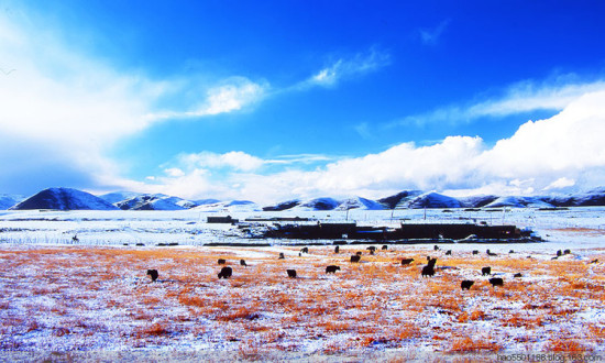 ѩ������-���ϵ���