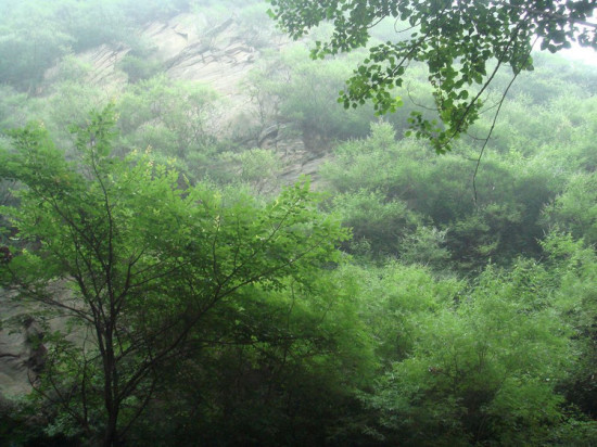 ��������-��Ȼ�羰