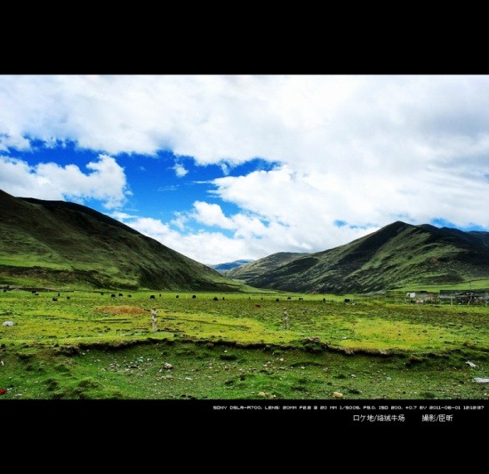 �Ƕ�����-���ϵ���