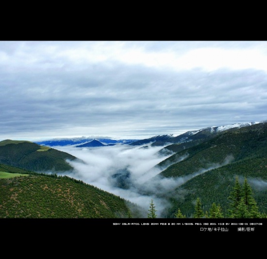 �Ƕ�����-���ϵ���