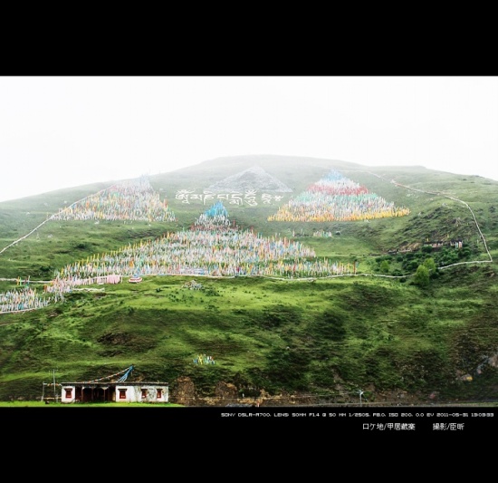 �Ƕ�����-���ϵ���