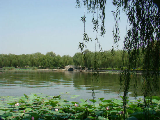 �����Ĵ�����-��Ȼ�羰