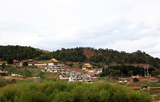 ����<span class=lxw>[ע: ���ϲ��������ݴ�����ظ�ԭ�ͻ�����ԭ���ɵش��������������ߣ����ϲ��͡����ں���1100��4900�ף��󲿷ֵ�����3000�����ϡ�]</span>��ľ��(1)-��������