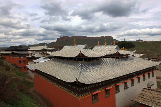 ������ľ��(1)-��������