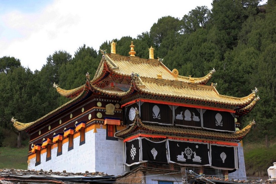 ������ľ��(1)-��������