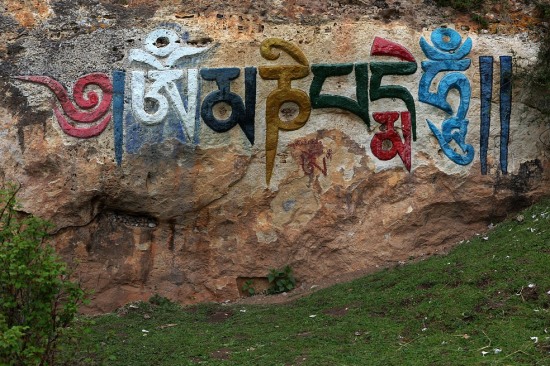 ������ľ��(1)-��������