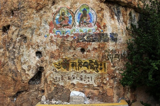 ������ľ��(1)-��������