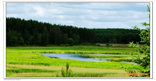 �߽���ԭ��1�������ڷ��-��Ȼ�羰