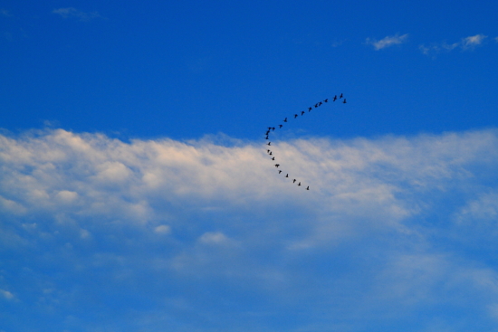 Ӣ�ɺӷ��-��Ȼ�羰