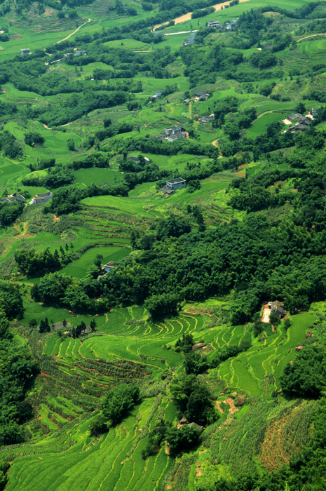 �����񺣹�-���ϵ���