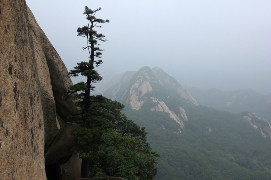 ���Ϸ��ɽ-��Ȼ�羰