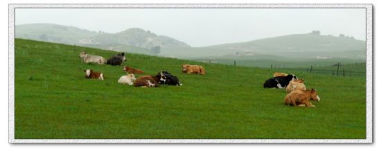 ����Χ������-��������