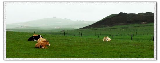 ����Χ������-��������