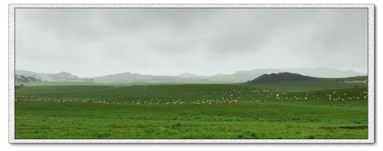 ����Χ������-��������