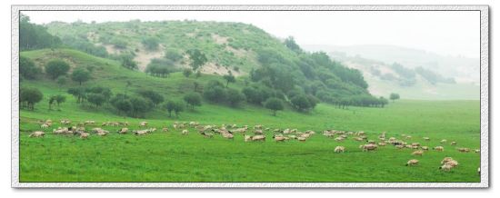 ����Χ������-��������