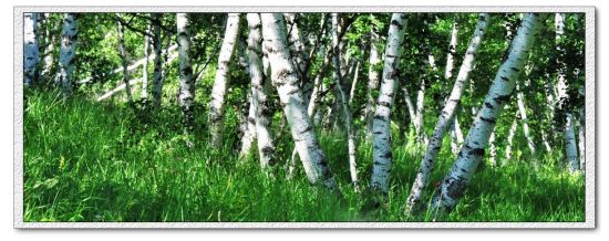 ����Χ������-��������