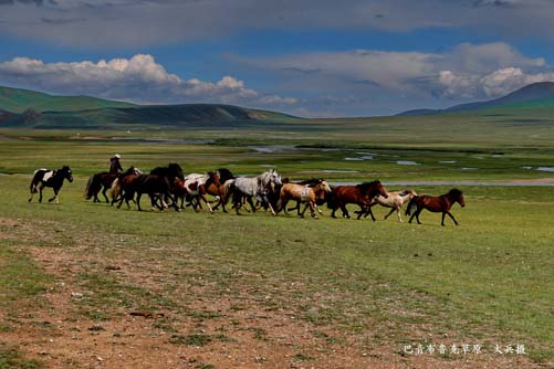 �������½�<span class=lxw>[ע: �½�ά���������-�½�ά���������������£�λ���й�����������166��ƽ�����ռ�й��������������֮һ�����й�������ʡ����������]</span>-��������