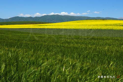 �������½�-��������