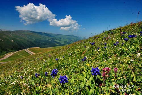 �������½�-��������