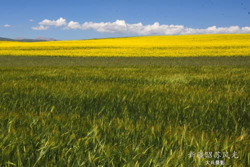 �������½�-��������