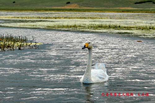 �������½�-��������