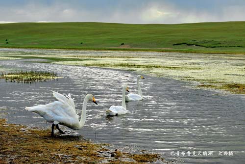 �������½�-��������