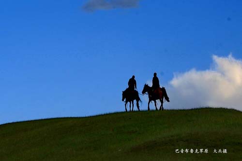 �������½�-��������