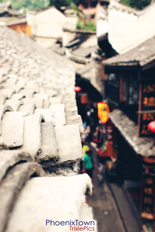 ��˹���-����֮��-������Ӱ