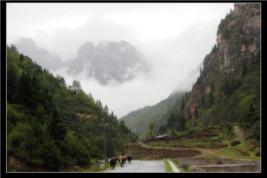 �����ǣ��ϣ�-��Ȼ�羰