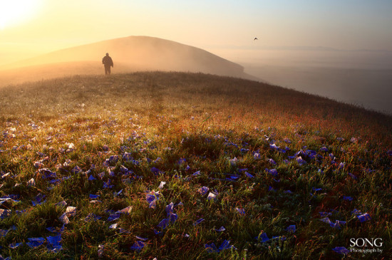 �ƿ��ճ�-��Ȼ�羰