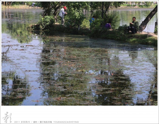 ����ӡ�� ���� . ����-��Ȼ�羰