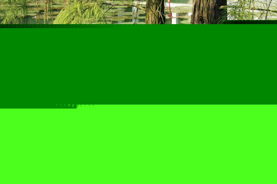 �麣һ��-������Ӱ