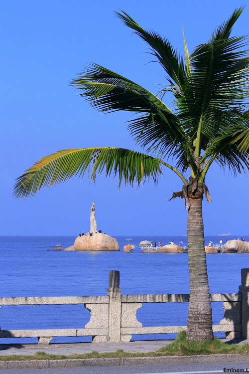 �麣һ��-������Ӱ