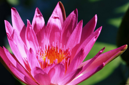 �麣һ��-������Ӱ